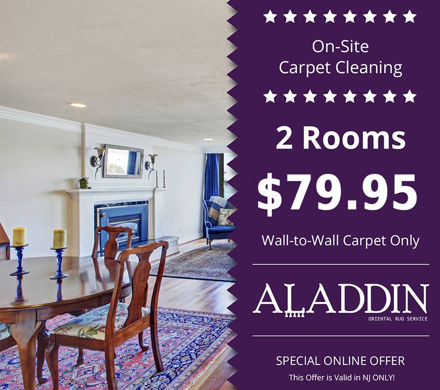 Aladdin Oriental Rug Offer